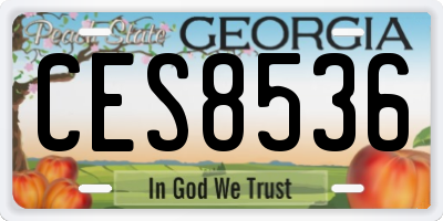 GA license plate CES8536