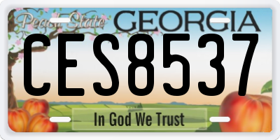 GA license plate CES8537