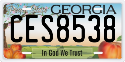 GA license plate CES8538