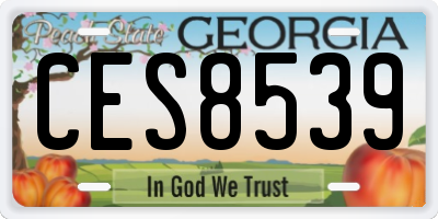 GA license plate CES8539