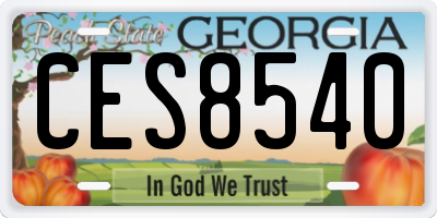 GA license plate CES8540