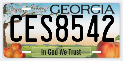 GA license plate CES8542