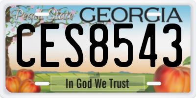 GA license plate CES8543