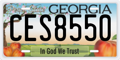 GA license plate CES8550