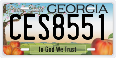 GA license plate CES8551