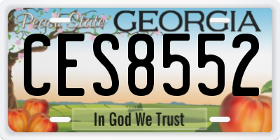 GA license plate CES8552