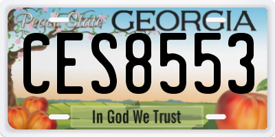 GA license plate CES8553
