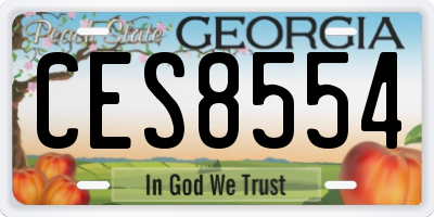 GA license plate CES8554