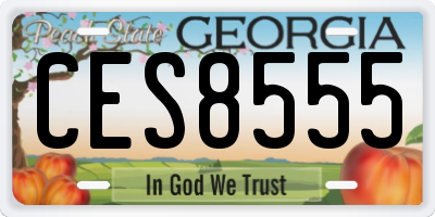 GA license plate CES8555