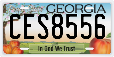 GA license plate CES8556