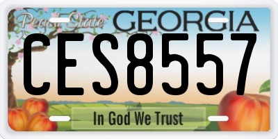 GA license plate CES8557