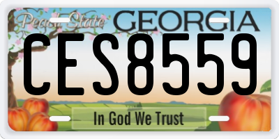 GA license plate CES8559