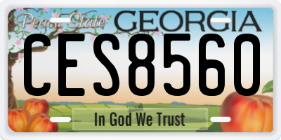 GA license plate CES8560