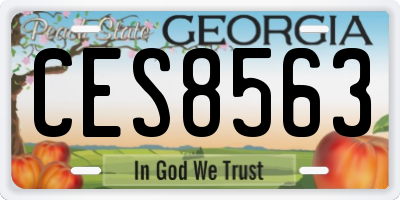 GA license plate CES8563