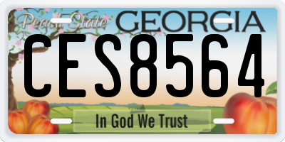 GA license plate CES8564