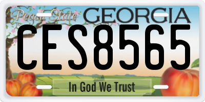 GA license plate CES8565
