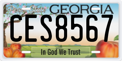 GA license plate CES8567