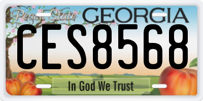 GA license plate CES8568