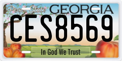 GA license plate CES8569
