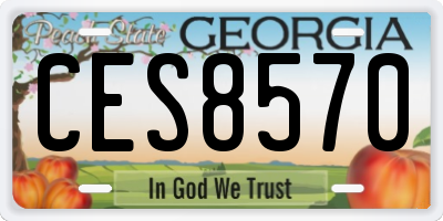 GA license plate CES8570