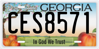 GA license plate CES8571