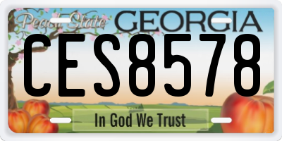 GA license plate CES8578