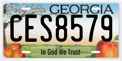GA license plate CES8579