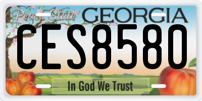 GA license plate CES8580