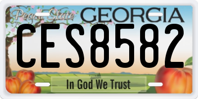 GA license plate CES8582