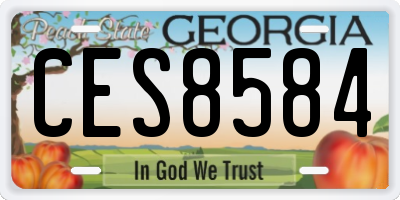 GA license plate CES8584