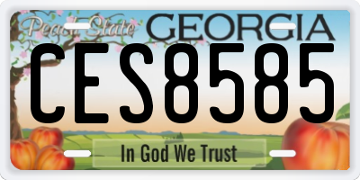 GA license plate CES8585