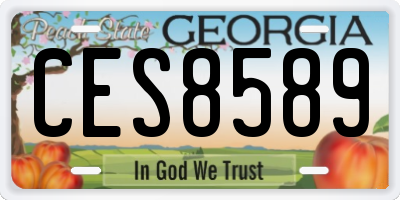 GA license plate CES8589