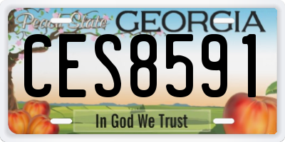 GA license plate CES8591