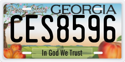 GA license plate CES8596