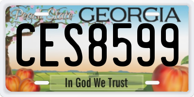 GA license plate CES8599