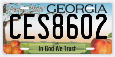 GA license plate CES8602