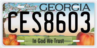GA license plate CES8603