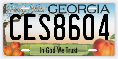 GA license plate CES8604