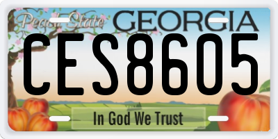 GA license plate CES8605