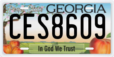 GA license plate CES8609