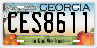 GA license plate CES8611