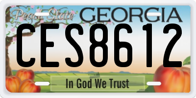 GA license plate CES8612