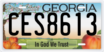 GA license plate CES8613