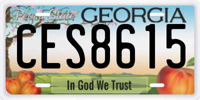 GA license plate CES8615