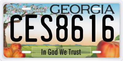 GA license plate CES8616