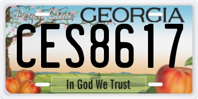 GA license plate CES8617