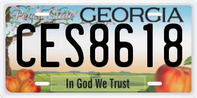 GA license plate CES8618