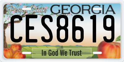 GA license plate CES8619