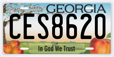 GA license plate CES8620