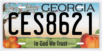 GA license plate CES8621